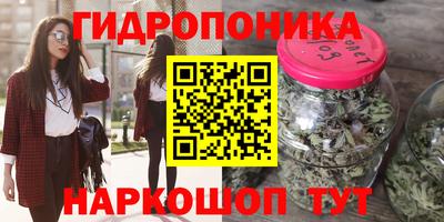 ECSTASY Будённовск