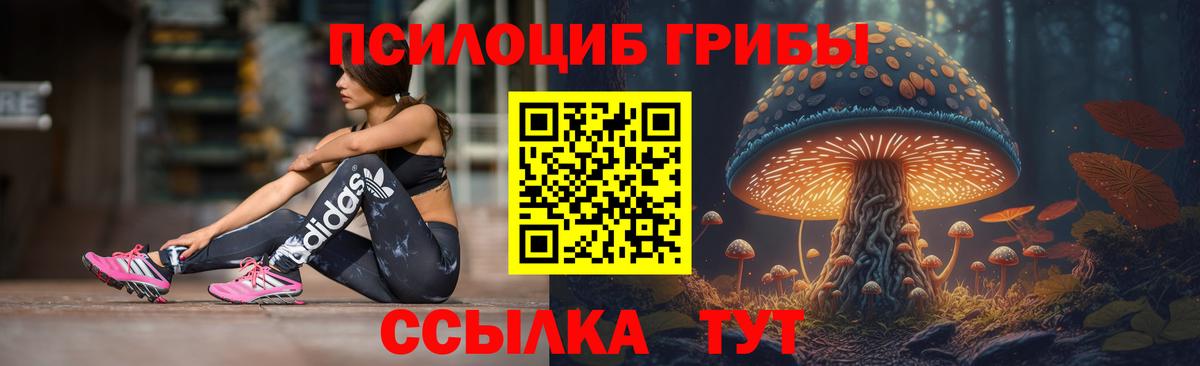 Узловая  Псилоцибиновые грибы MAGIC MUSHROOMS  Вход с VPN 